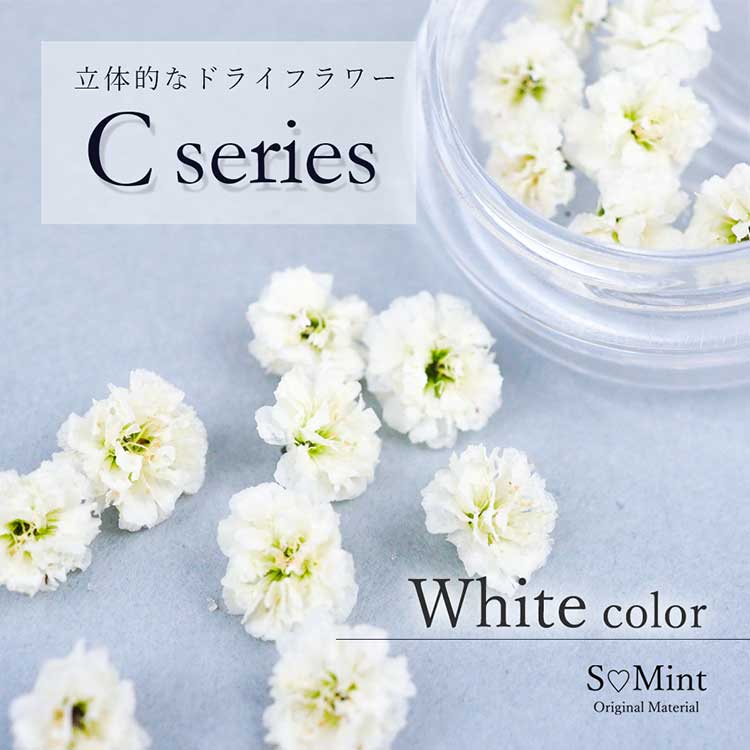 hCt[ / Cseriesi511j / -White color-iC00j